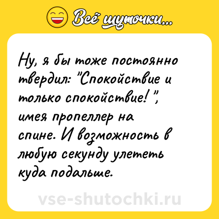 Шутка: Ну, я бы тоже постоянно твердил: "Спокойствие и только спокойствие! ", имея пропеллер на спине. И возможность в любую секунду улететь куда подальше.