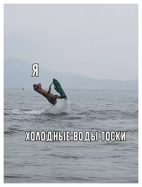 Смешная картинка №336919