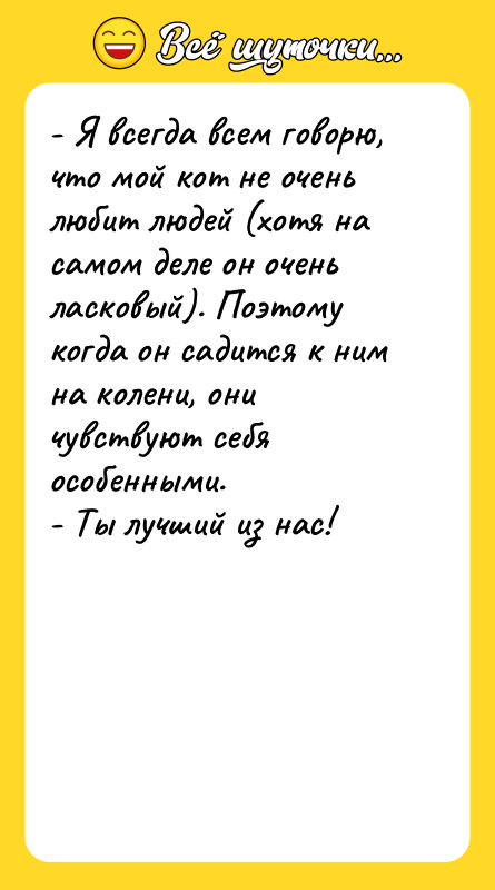 - Я всегда всем говорю, что мой кот не очень