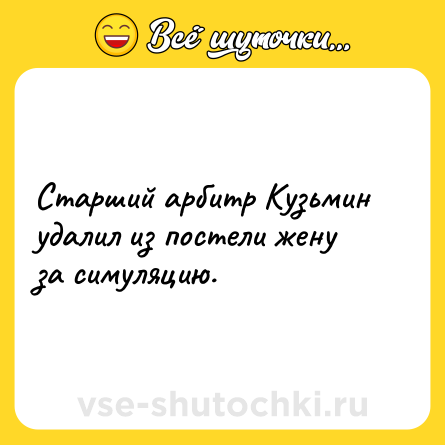 Шутка: Старший арбитр Кузьмин удалил из постели жену за симуляцию.