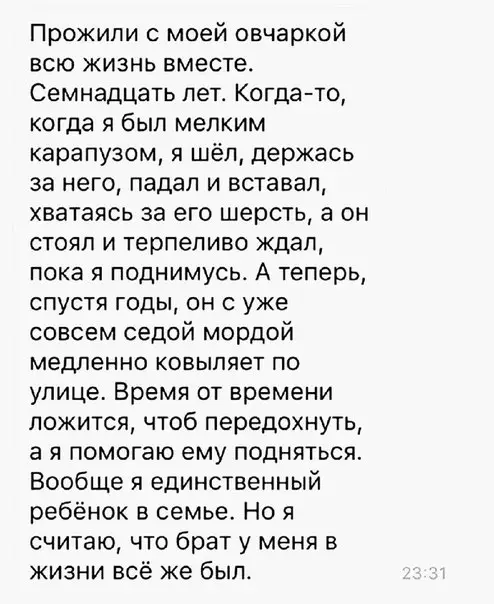 Смешная картинка №187824
