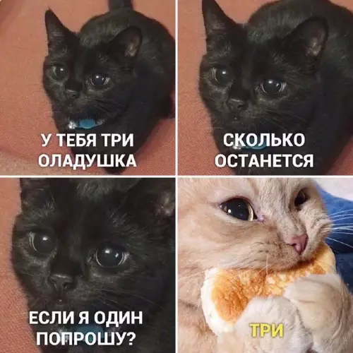 Математика от котика 🐈‍⬛🥞 - У тебя три оладушка. Сколько останется, если я один попрошу?