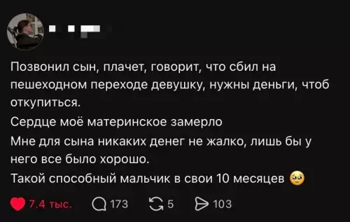 Мать года и её 10-месячный гонщик 🏎️💨 - Позвонил сын, плачет, говорит, что сбил на пешеходном переходе девушку,