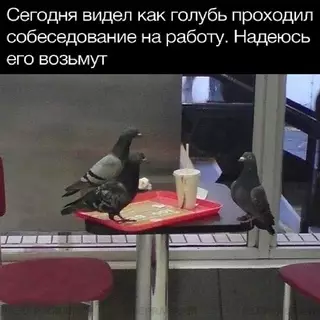 Смешная картинка №684066