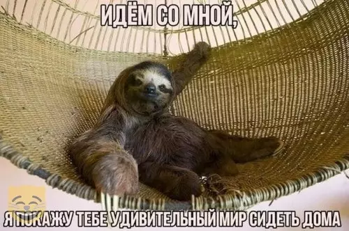 Смешная картинка №371322 #приколы #картинки #мемы ?