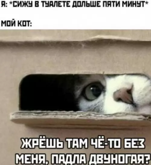 Смешная картинка №555429