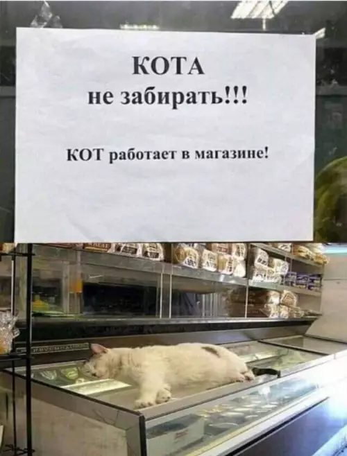 Смешная картинка №652906