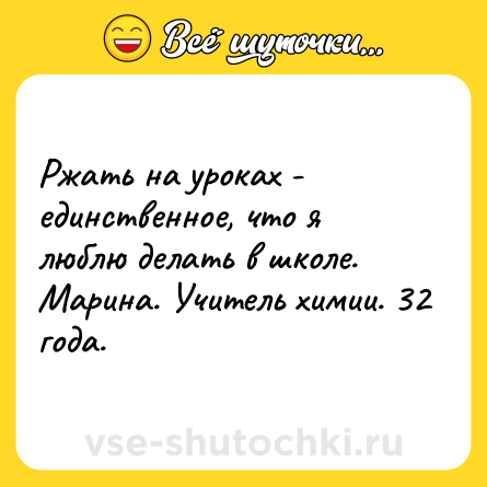 Шутка: Ржать на уроках - единственное, что я люблю делать в школе. Марина. Учитель химии. 32 года.