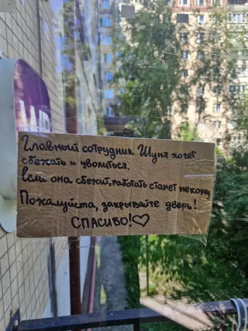 Срочно закройте дверь! 🏃‍♂️💨 - Главный сотрудник Шуня хочет сбежать и чучулиться. Если она сбежит,