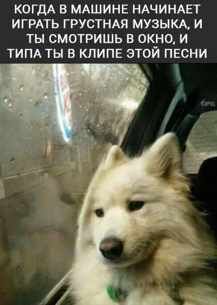 Смешная картинка №228299