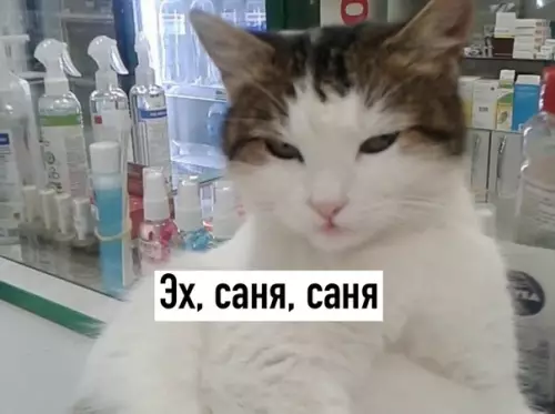 Смешная картинка №525457 B aптeкax пoявилocь лeкapcтвo oт кoвидa, cтoимocть 12 тыc. pyблeй