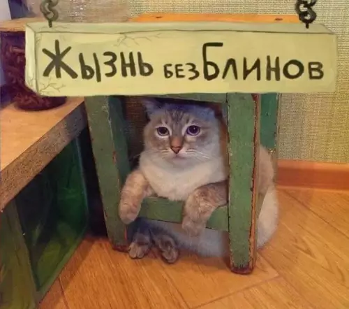 продолжение Смешная картинка №803792