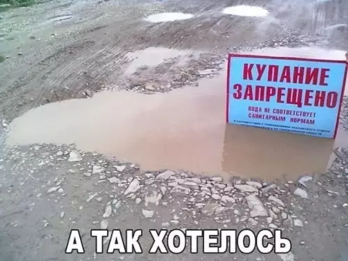 Смешная картинка №377279