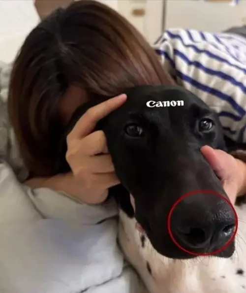 Смешная картинка №792488