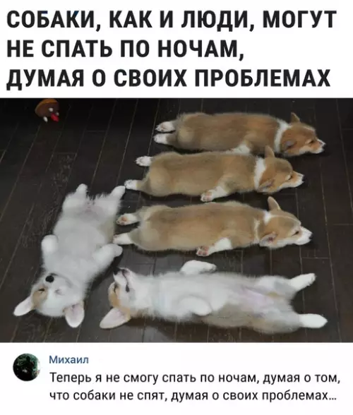 Смешная картинка №312436
