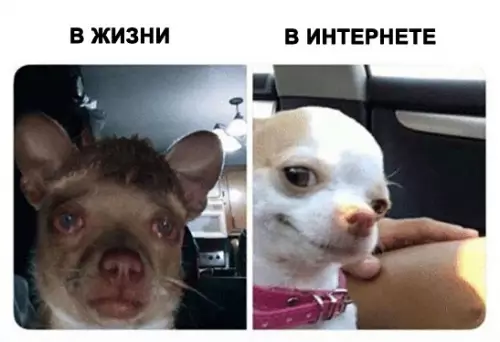Смешная картинка №285114