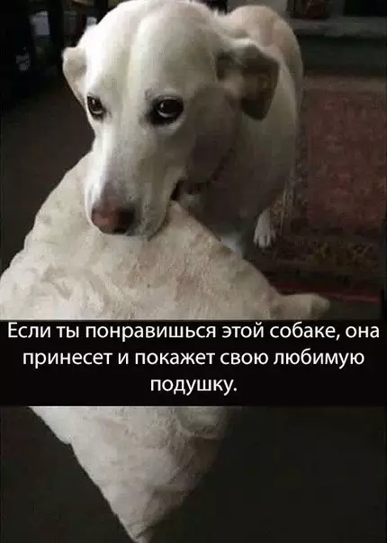 Смешная картинка №244540