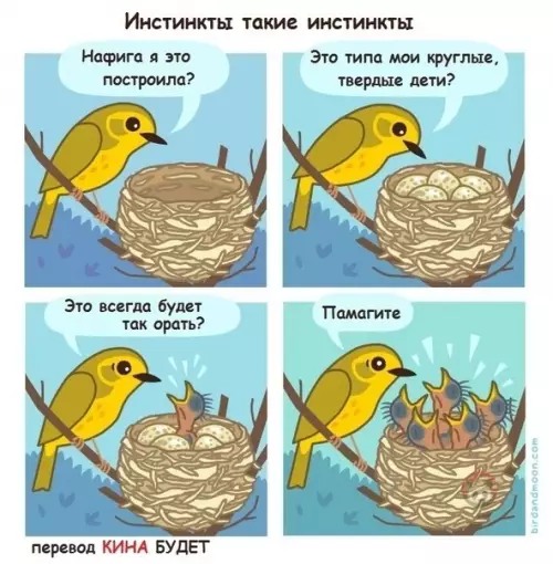 Смешная картинка №477284 Кто тоже себя чувствует как эта птичка - ставит +