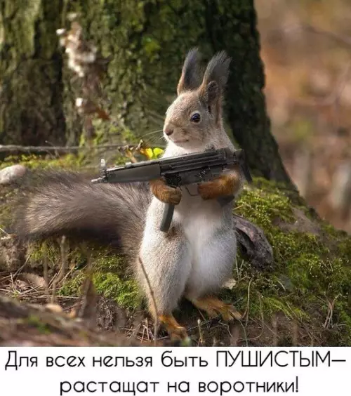 Смешная картинка №249762