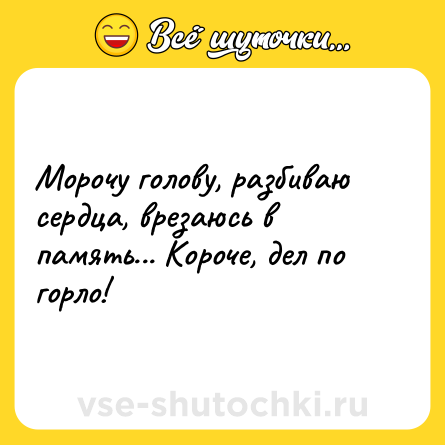 Шутка: Морочу голову, разбиваю сердца, врезаюсь в память... Короче, дел по горло!