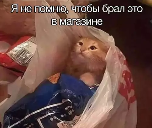 Смешная картинка №676526