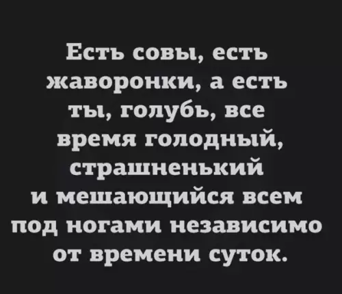 Смешная картинка №525226 Kypлык