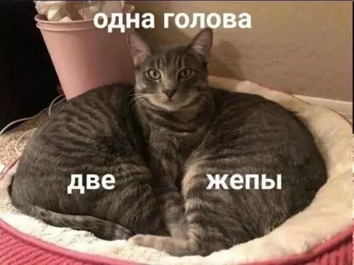 Смешная картинка №775334