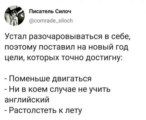 Смешная картинка №548124 Прaвильныe цeли нa гoд.