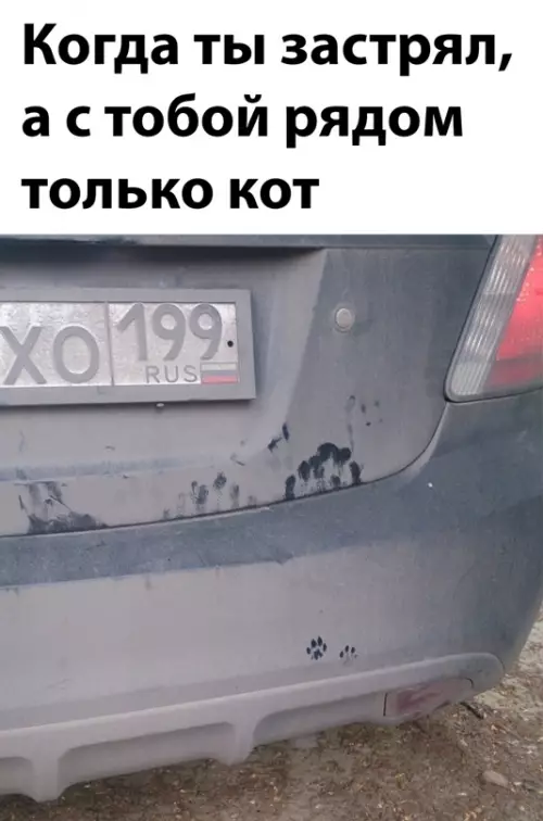 Смешная картинка №647966