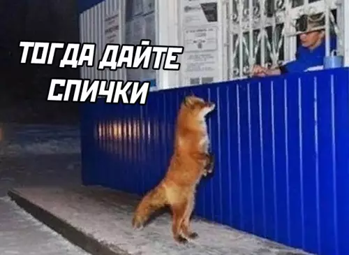 продолжение Смешная картинка №644353