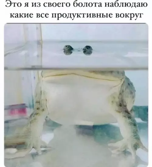 Смешная картинка №641580