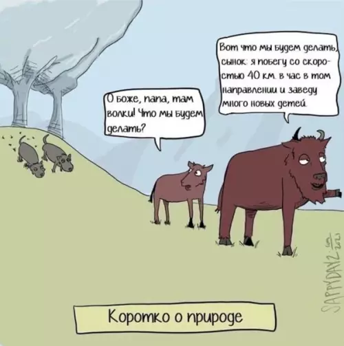 Смешная картинка №556379 Отец года