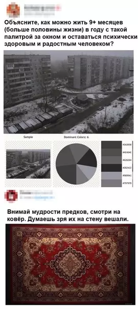 Смешная картинка №452650 Вот значит зачем нужен ковер в каждом доме