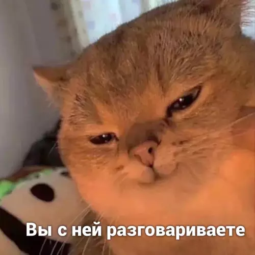 продолжение Смешная картинка №700346