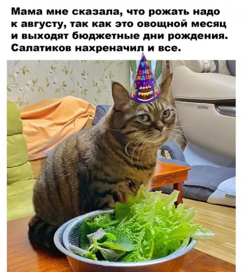 Смешная картинка №498708 Лyчший coвет от мамы.