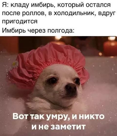 Смешная картинка №681470