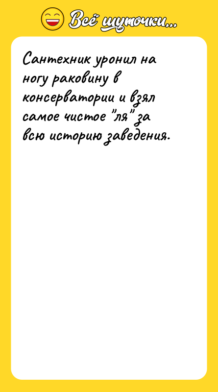 Сантехник уронил на ногу раковину в консерватории и взял самое