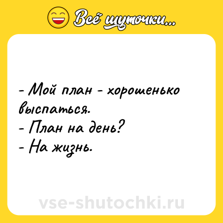 Шутка: - Мой план - хорошенько выспаться.<br>- План на день?<br>- На жизнь.