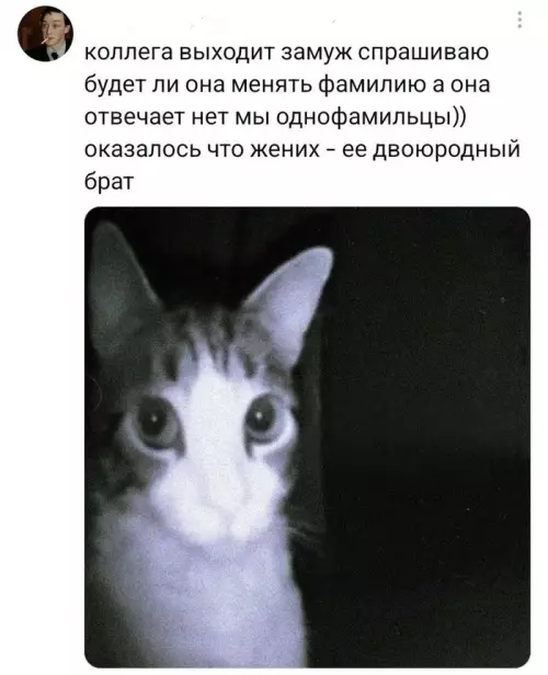 Семейные узы или как не запутаться в генеалогии 🙀 - коллега выходит замуж спрашиваю будет ли она менять фамилию а