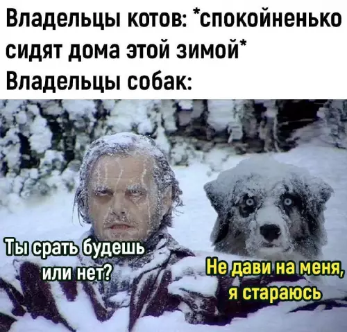 Смешная картинка №709679