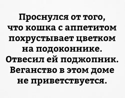 Смешная картинка №242479