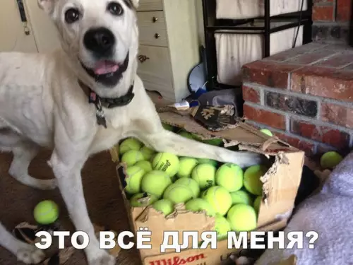 Смешная картинка №247183