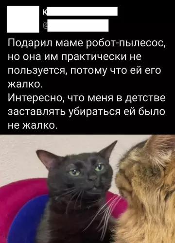 Смешная картинка №759511