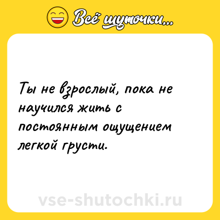 Шутка: Ты не взрослый, пока не научился жить с постоянным ощущением легкой грусти.