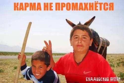Смешная картинка №737308