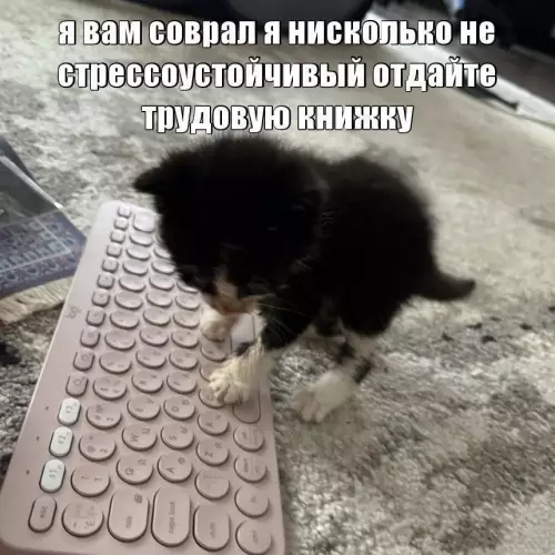 Смешная картинка №794309