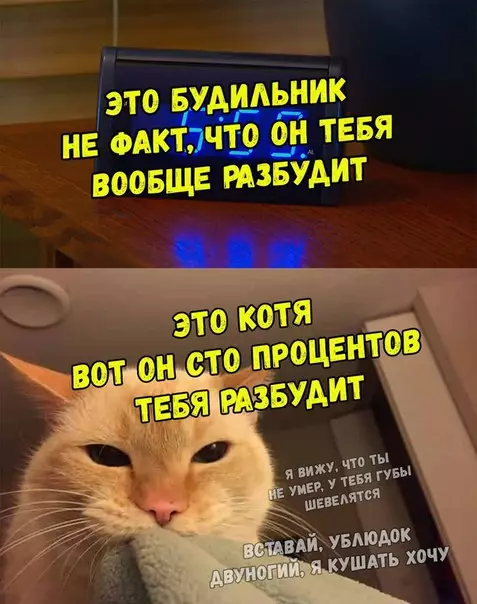 Смешная картинка №270580