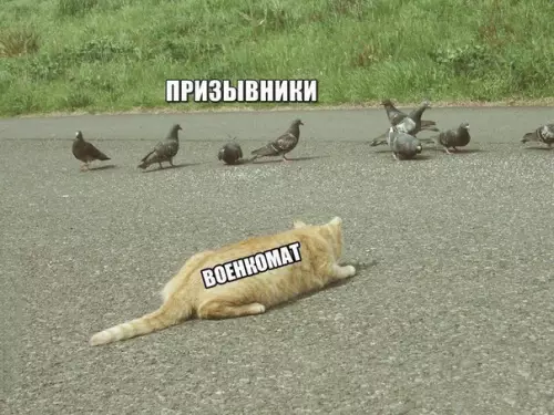 Смешная картинка №262081 Совсем скоро