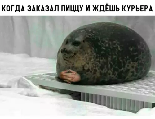 Смешная картинка №315642