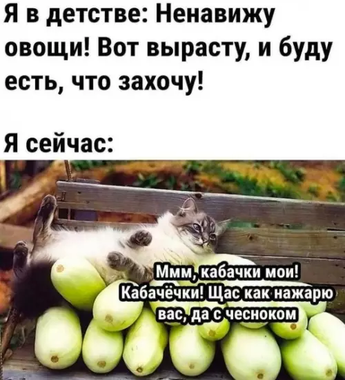 Смешная котошутка о овощах